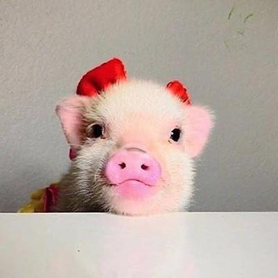 常威你还敢说你不会武功