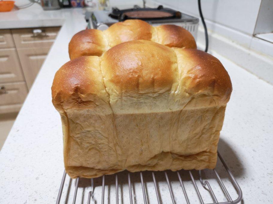 比棉花还柔软的中种北海道吐司