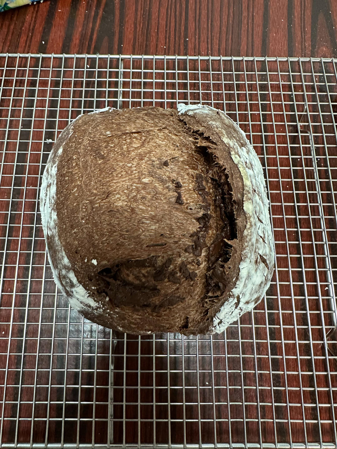 芥末籽德腸貝果🥯