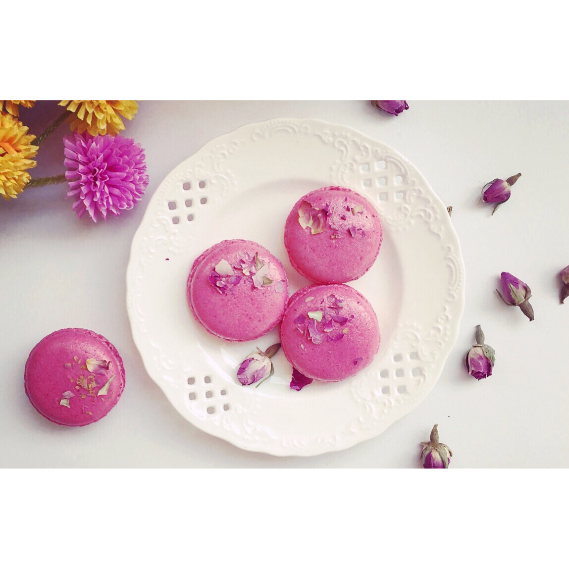 2017 从春约到冬