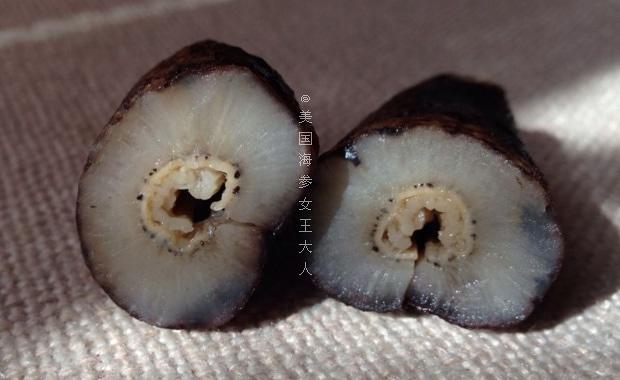 美国海参泡发教程（黑米参）的做法