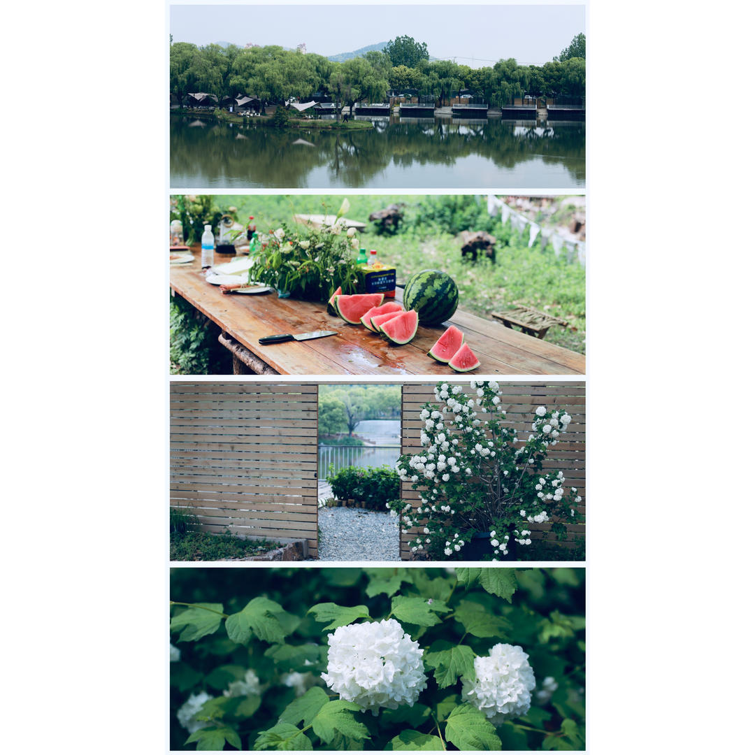 🍀岁月静好🌿