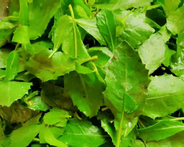 栾樨草糕 草药粉 春草糕的做法