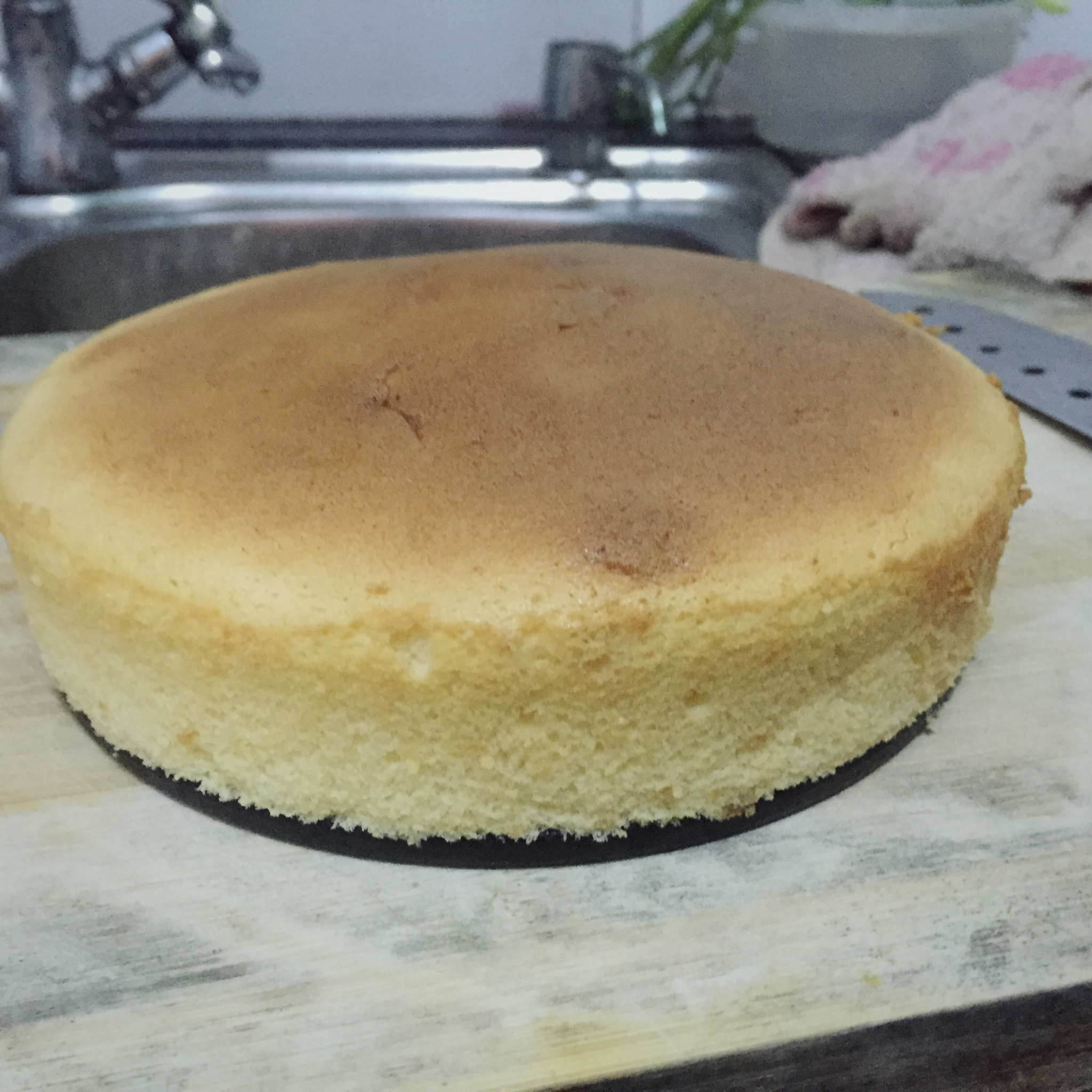 完胜各种叔叔家的起司蛋糕