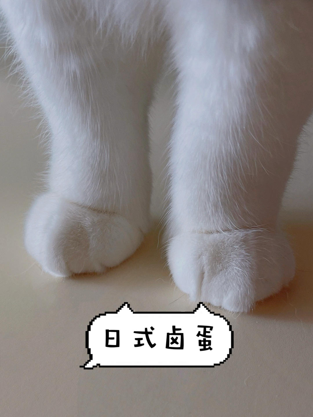 日式卤蛋