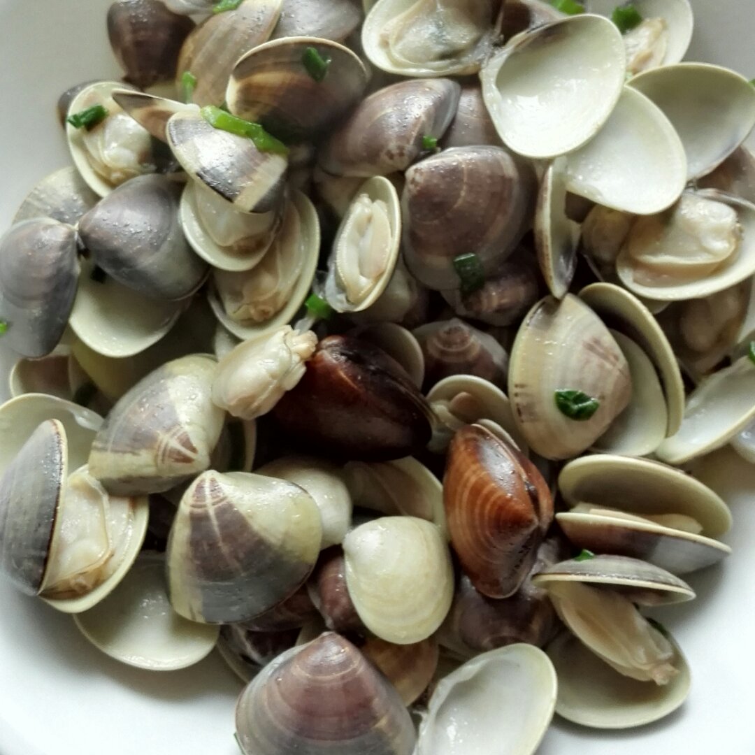 海风做的酒蒸青蛾