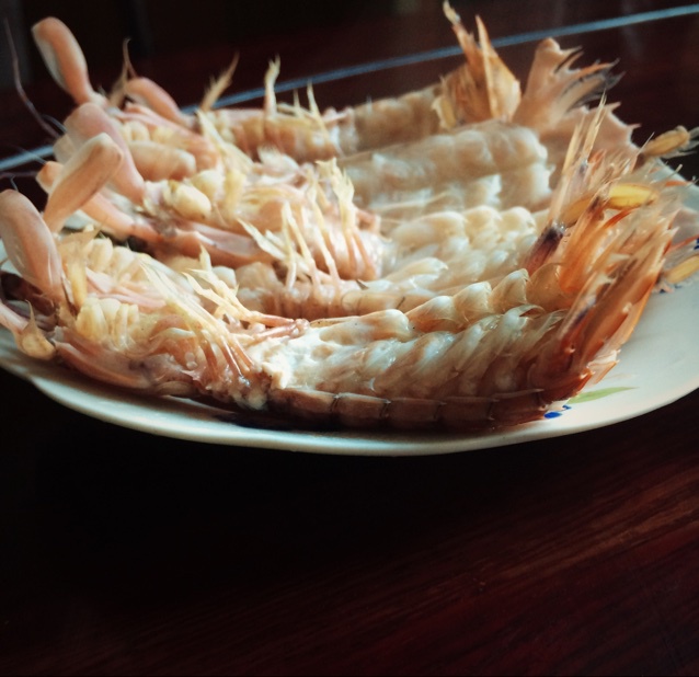 盐水虾蛄