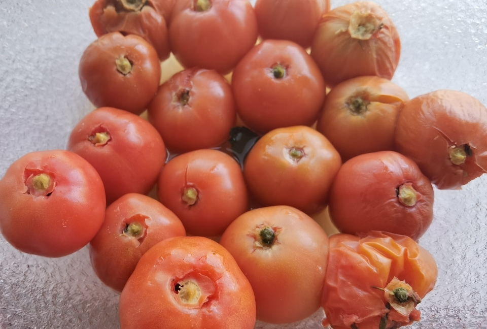烤西红柿（番茄、圣女果、迷迭香）无油、无糖、无盐、低热量、无脂肪、减肥绝佳