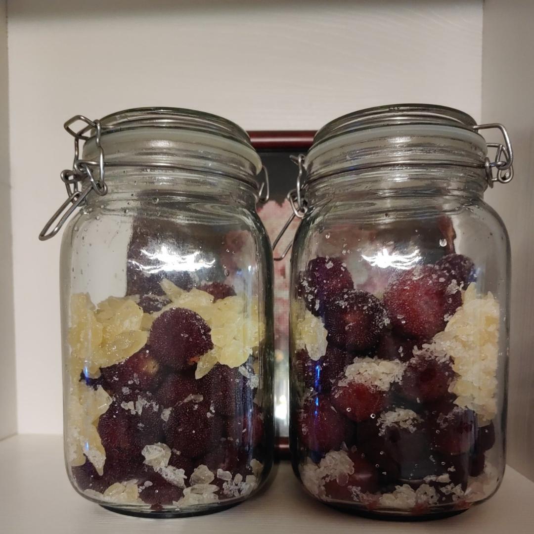 杨梅果酒(自发酵)