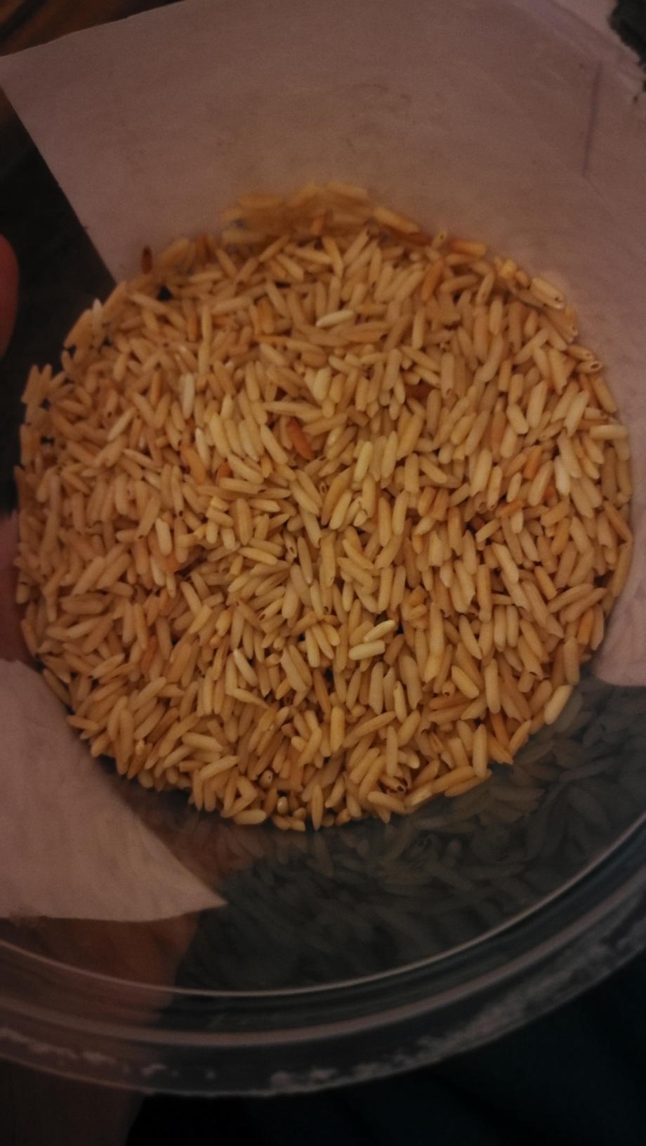 炒大米basic rice（各种谷类都可，大米，小米，大麦，小麦）  自制焦米 茶  无油 消食