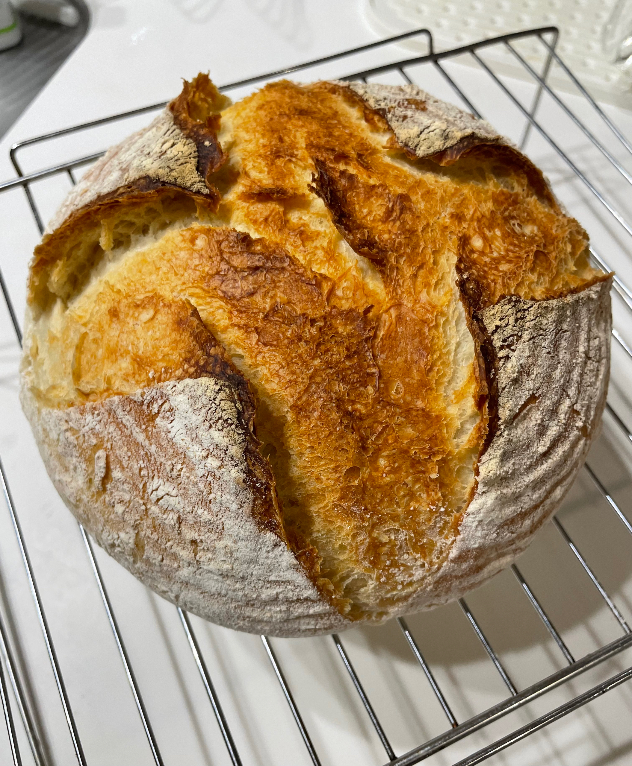 法國朋友也贊不絕口的法式artisan bread（基本上不用揉麵團）