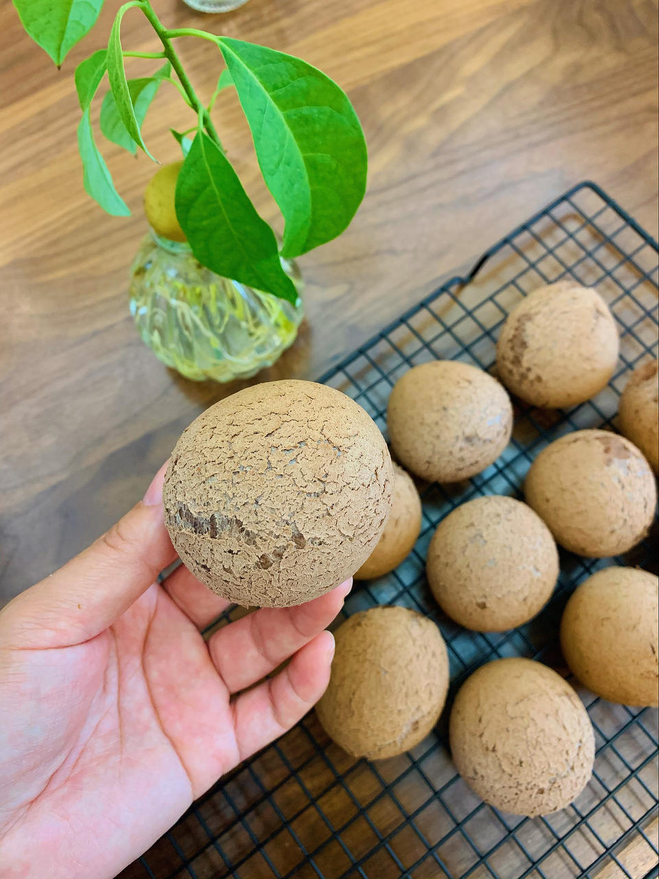 可可巧克力恐龙蛋（麻薯包）