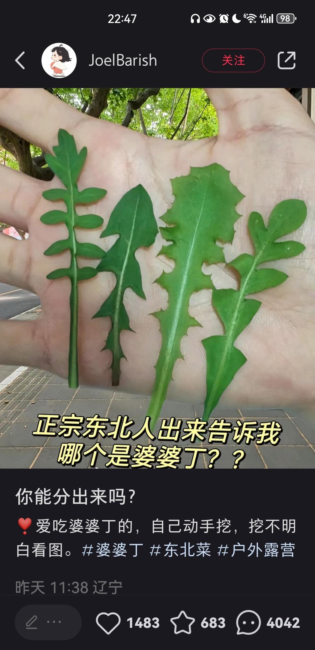 不过油，不盐腌的豇豆茄子