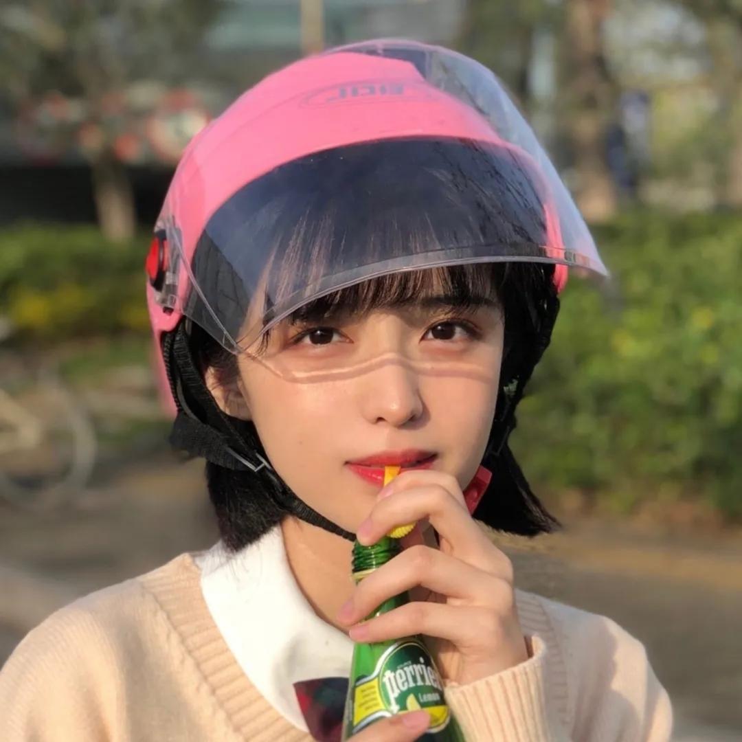 冉冉向上的太阳花