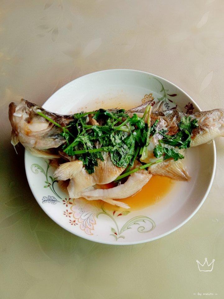 新手零失败的清蒸鲈鱼