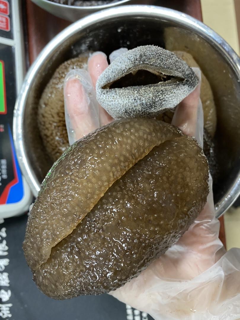 海参刺参如何泡发和保存呢？