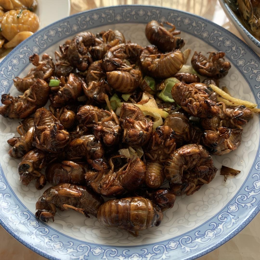 干炒蚕蛹、蝉蛹、茧蛹