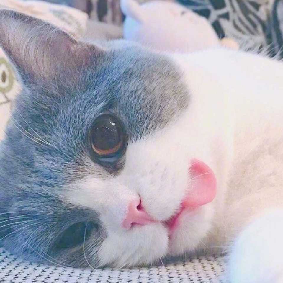 T亚婧