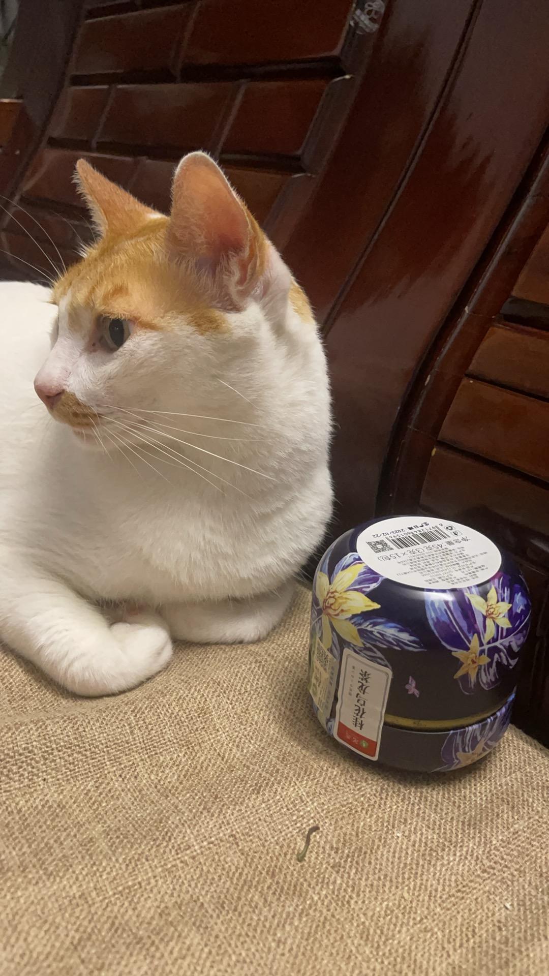 君心爱美食