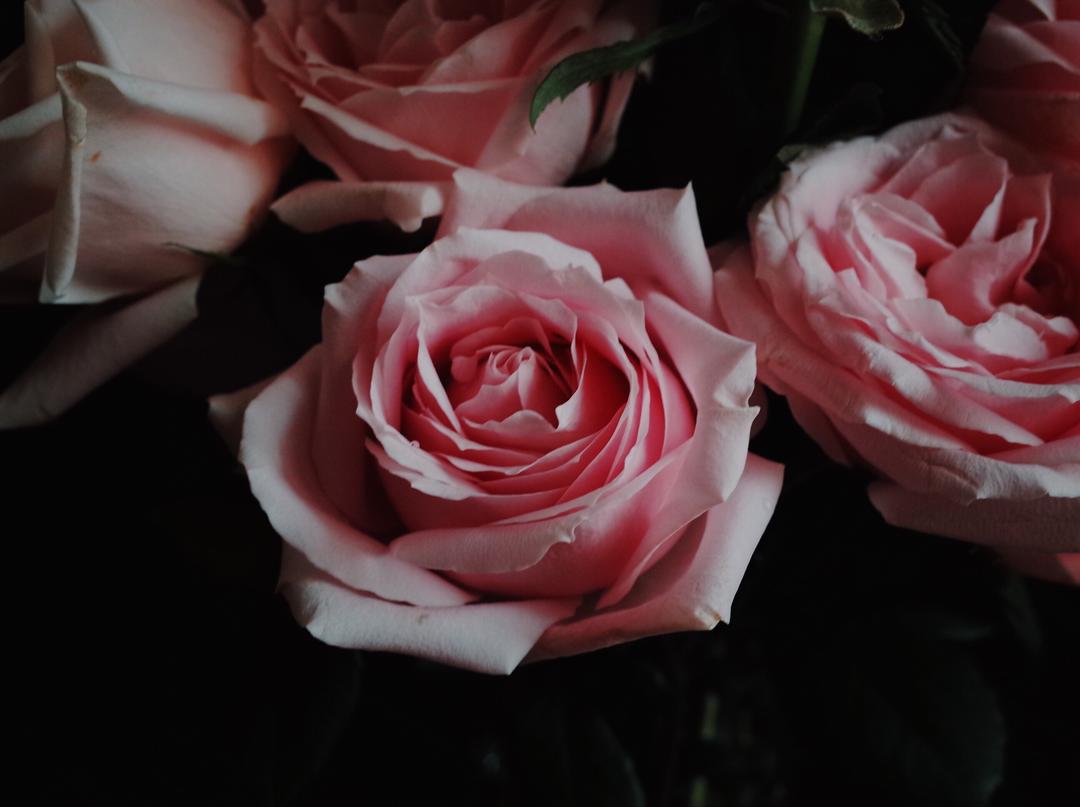 ℍ𝕒𝕧𝕖 𝕒 𝕟𝕚𝕔𝕖 𝕕𝕒𝕪 𖤐