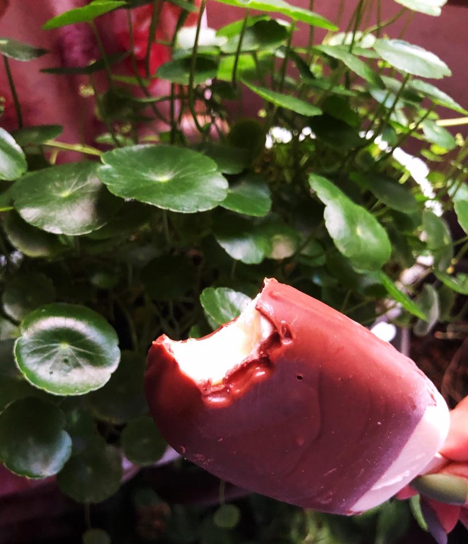 巧克力脆皮雪糕