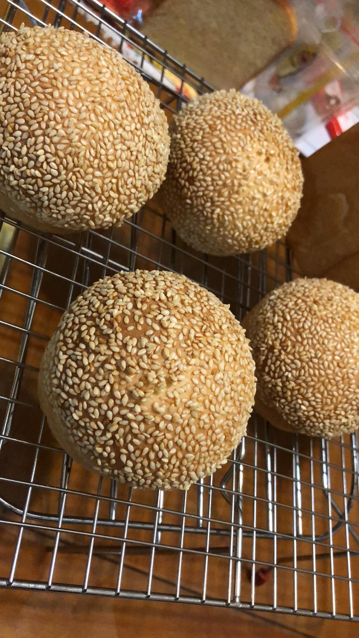 🍔圆滚滚基础汉堡胚
