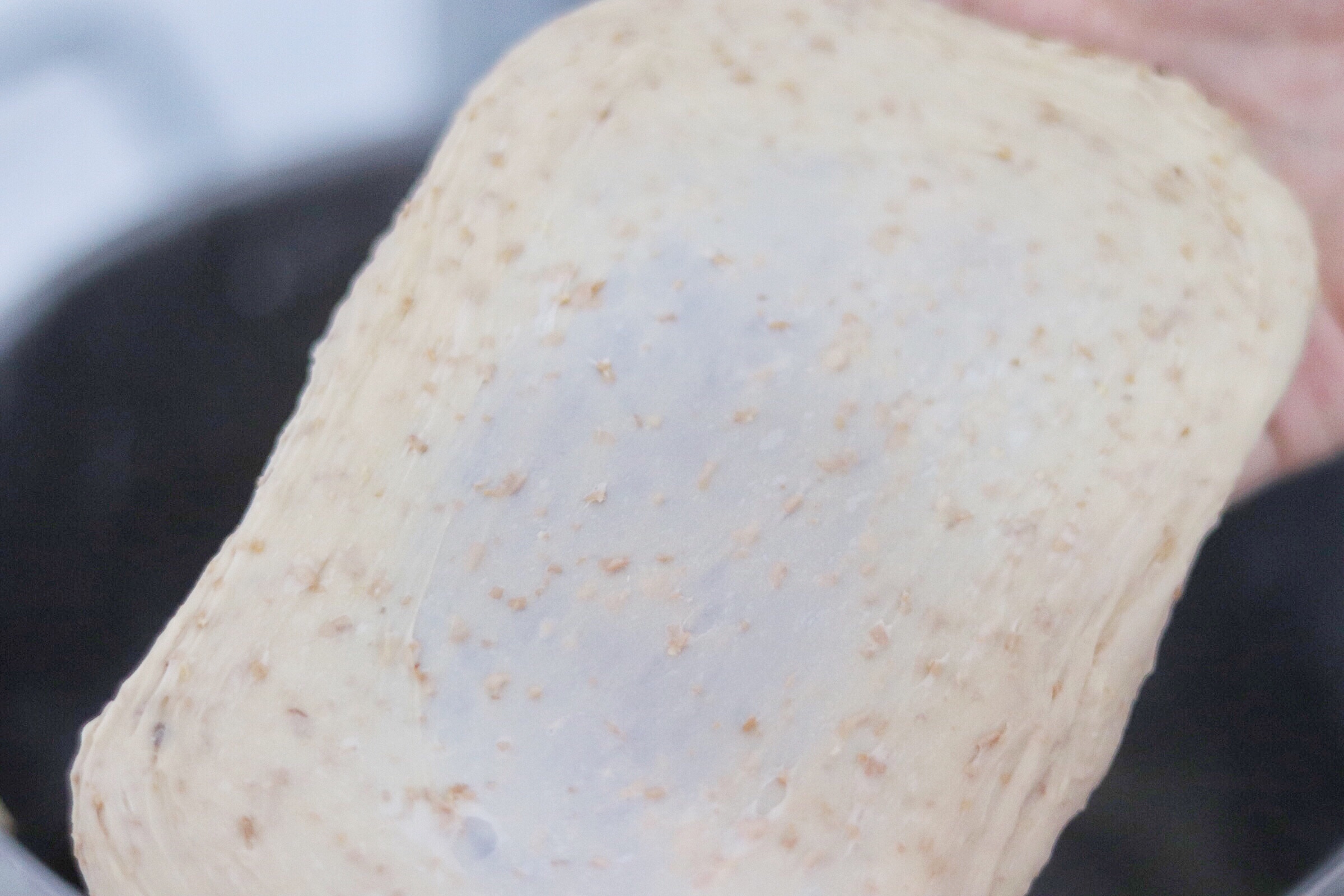 高纤全麦软欧面包（超百搭配方、可用于制作料理面包！）的做法 步骤2