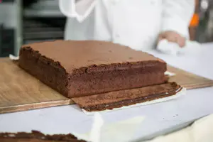 巧克力卡斯特拉蛋糕的做法 步骤9