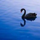 手机用户6321_2wxu