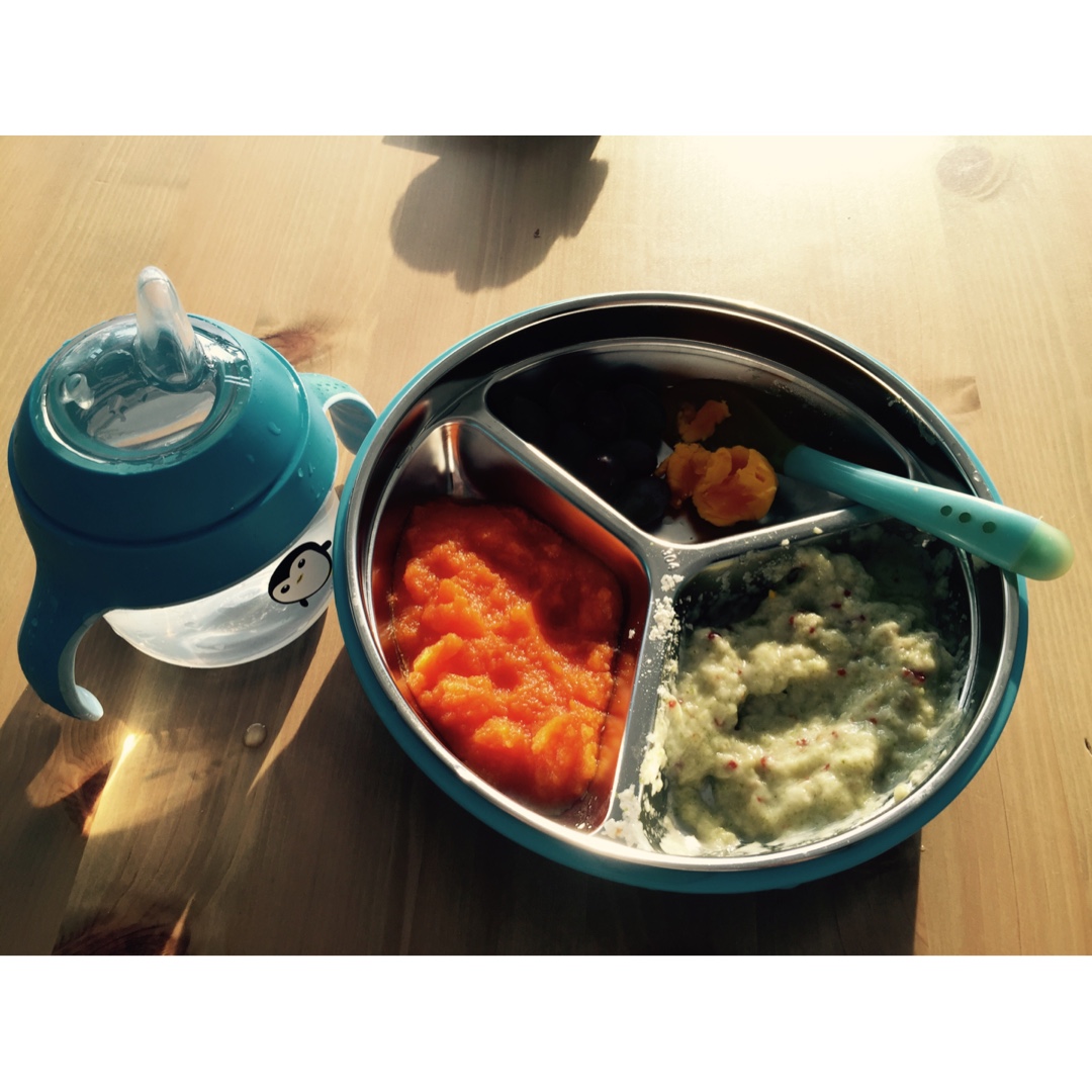 闪电球的辅食记录