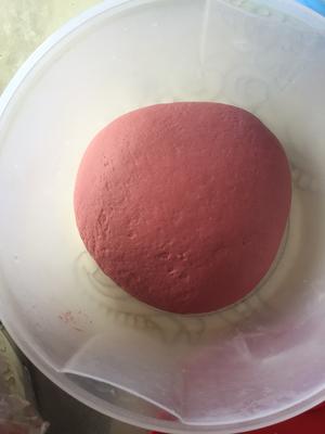 红曲粉双色馒头卷（老面肥版）的做法 步骤3
