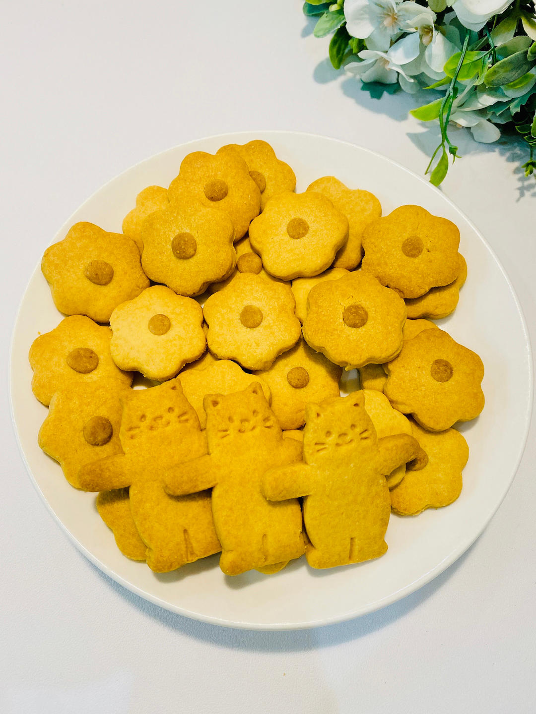 蓝莓饼干🍪                   （Blueberry cookies）