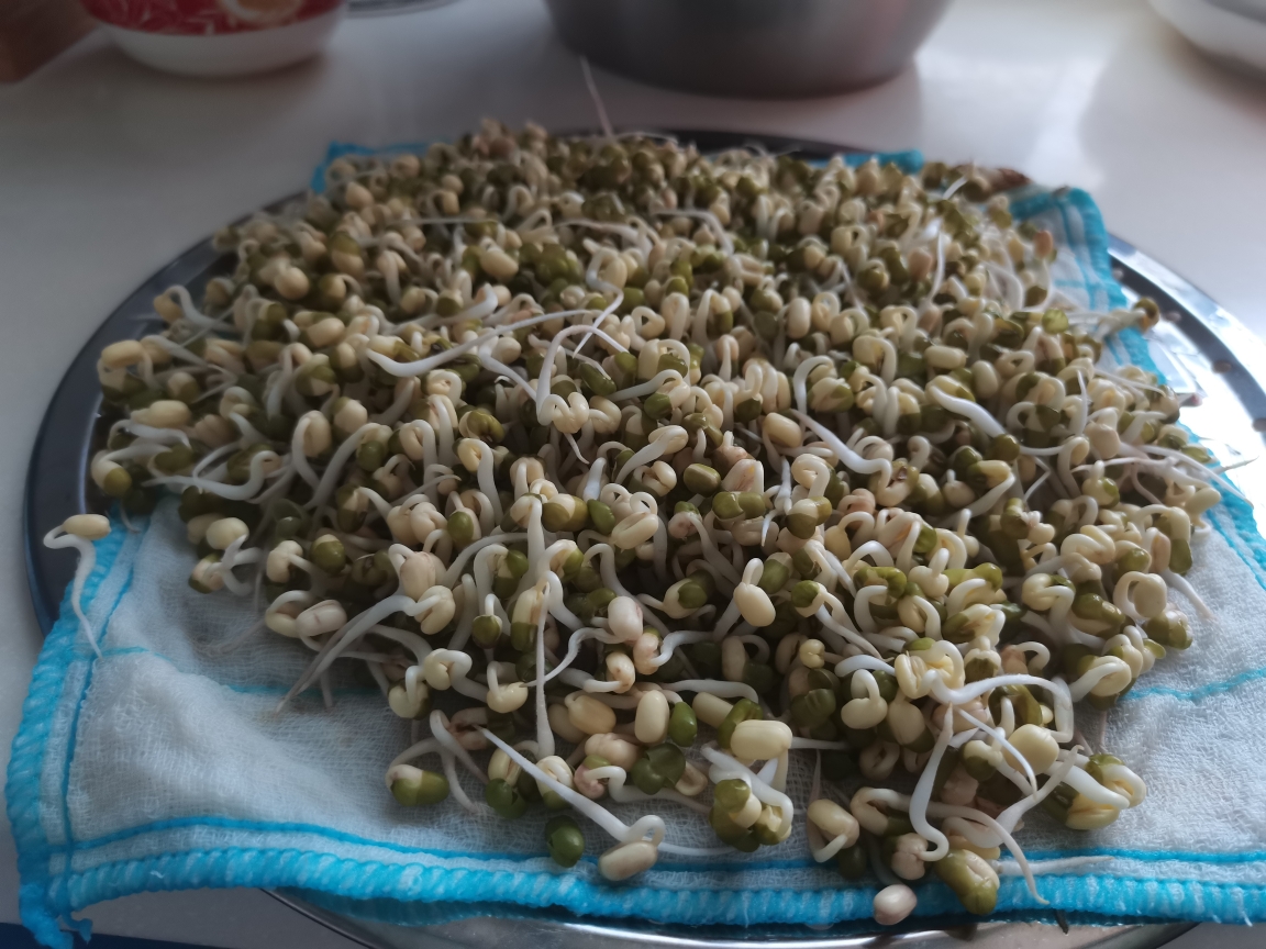 利用蒸锅同时发两层绿豆芽的做法 步骤3
