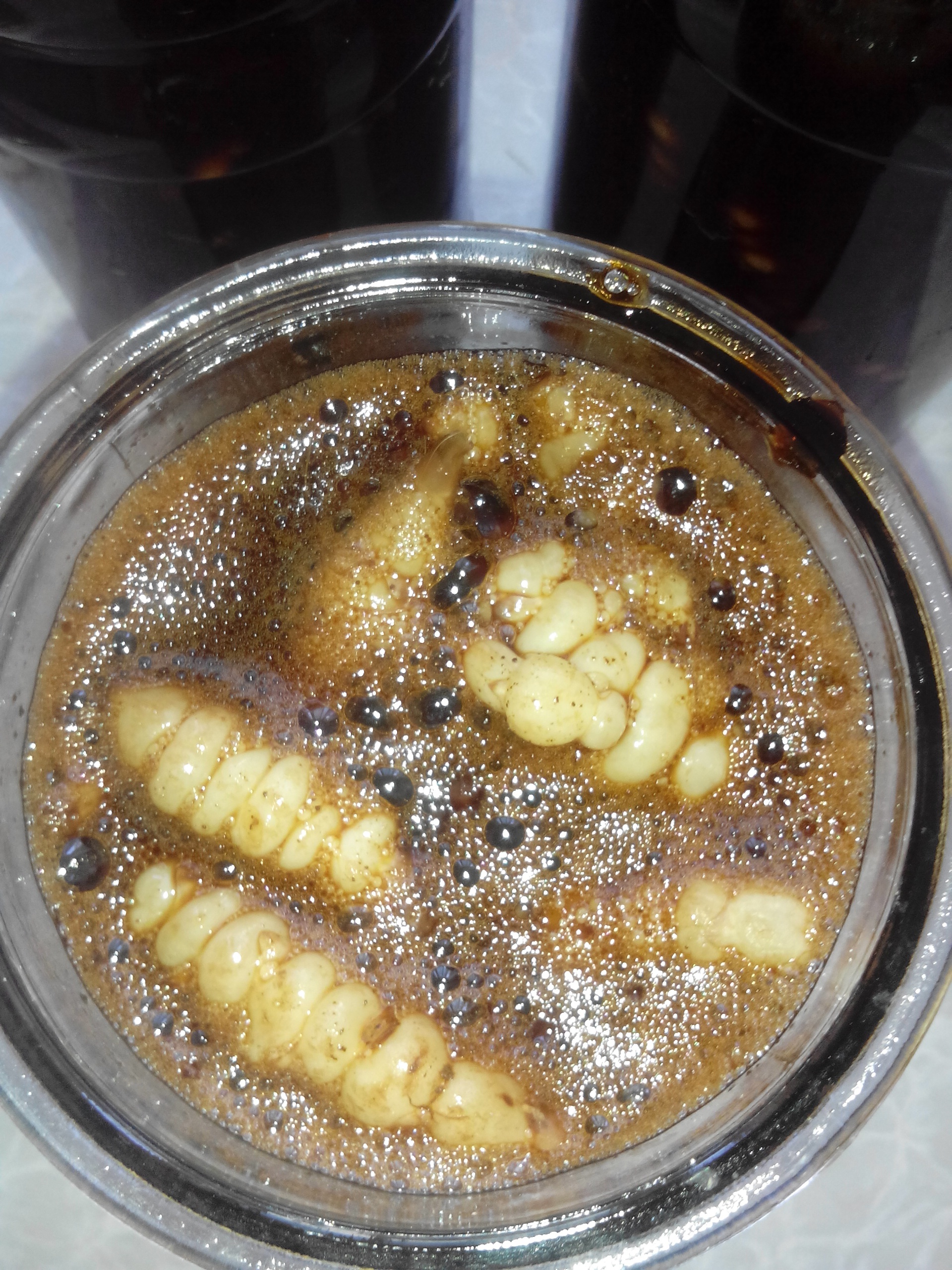 糖醋螺丝菜
