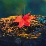 付小揪儿
