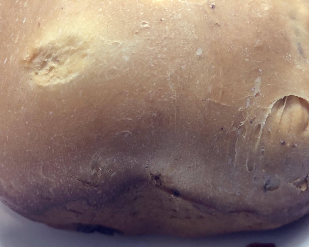 东菱面包机面包（口感扎实）的做法