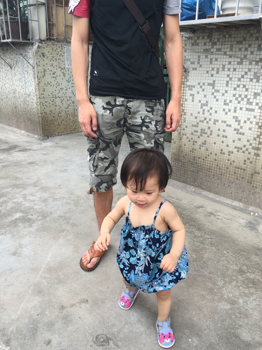 祖传炖牛肉or牛腩的做法