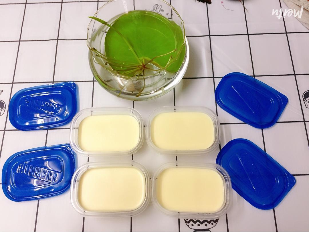 自制哈根达斯风味的冰淇淋