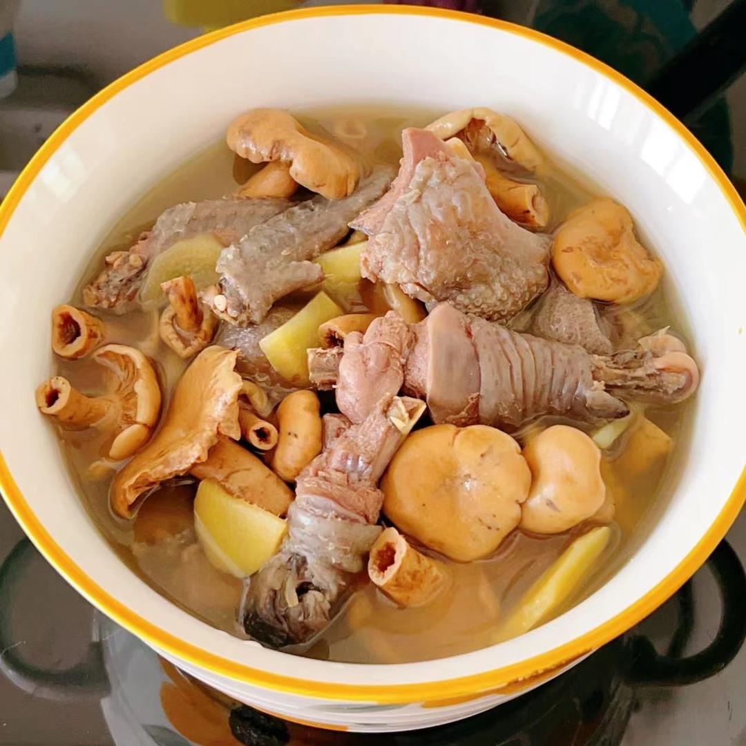 枞树菌煲老乌鸡汤(低脂清淡养生汤)