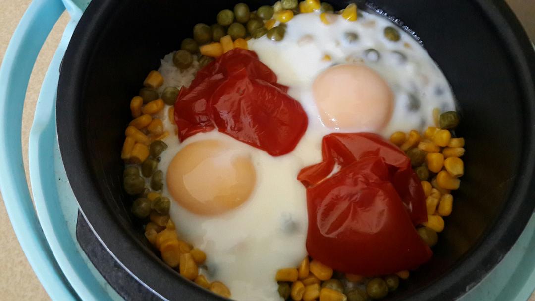 就是任性整个番茄饭豪华版