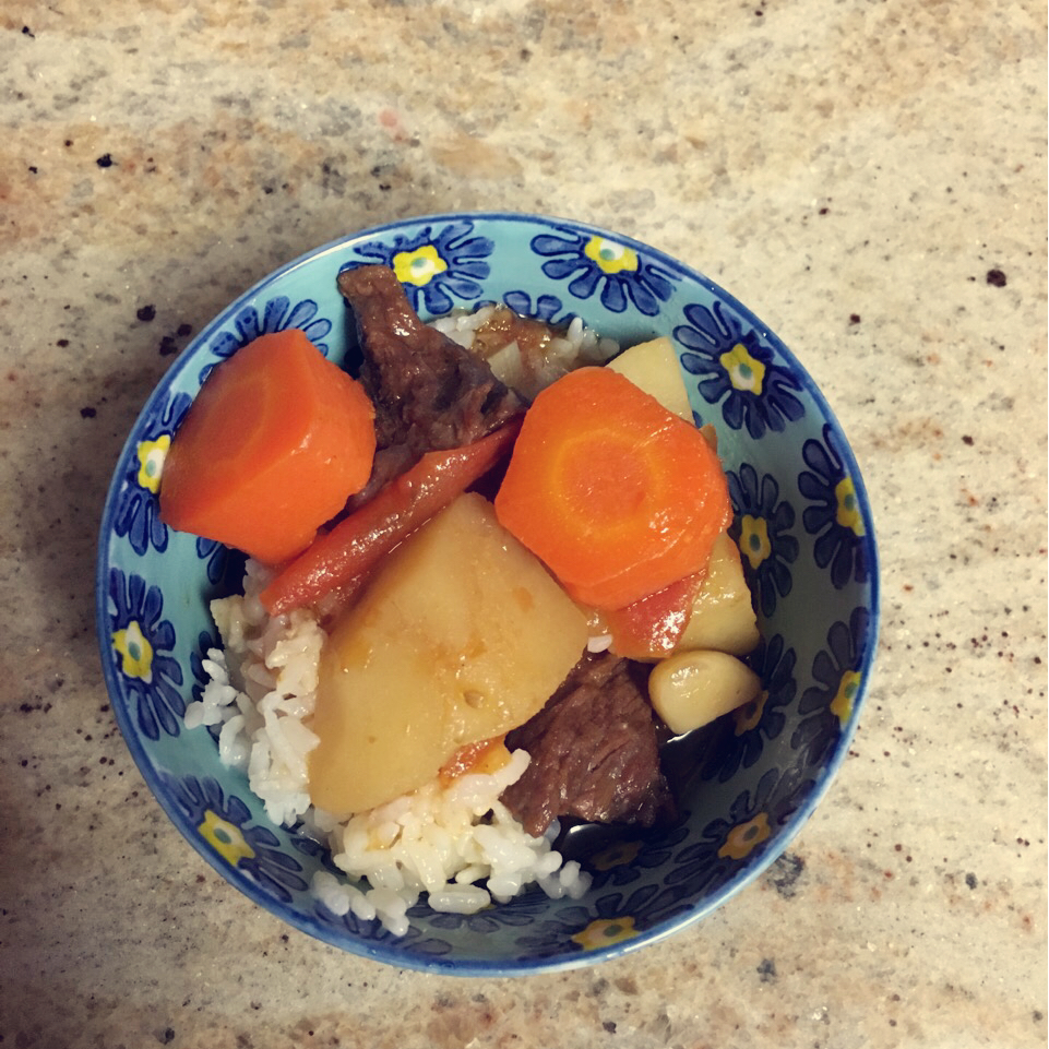 一个话唠包教包会的香浓红烩牛腩