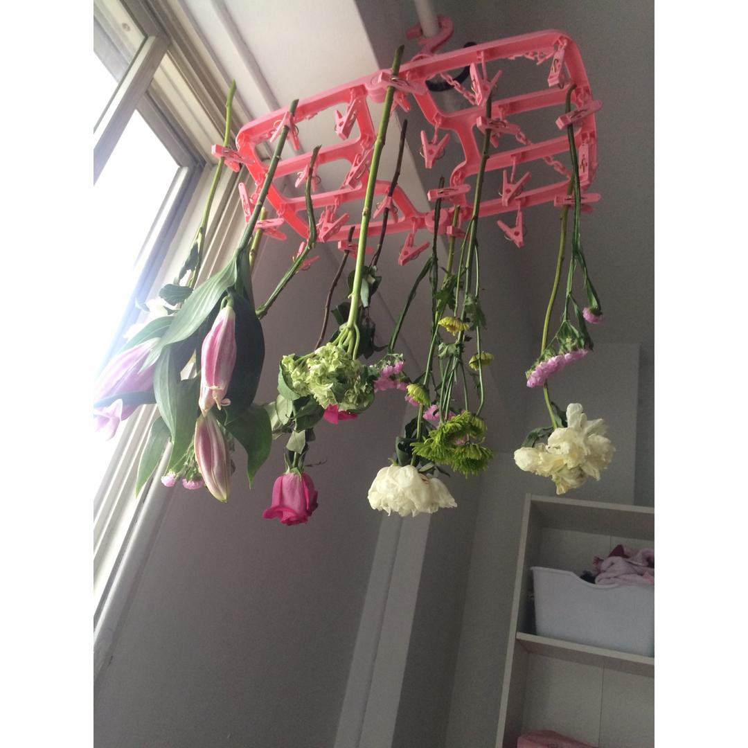 玫瑰花变干花永远保存你的爱