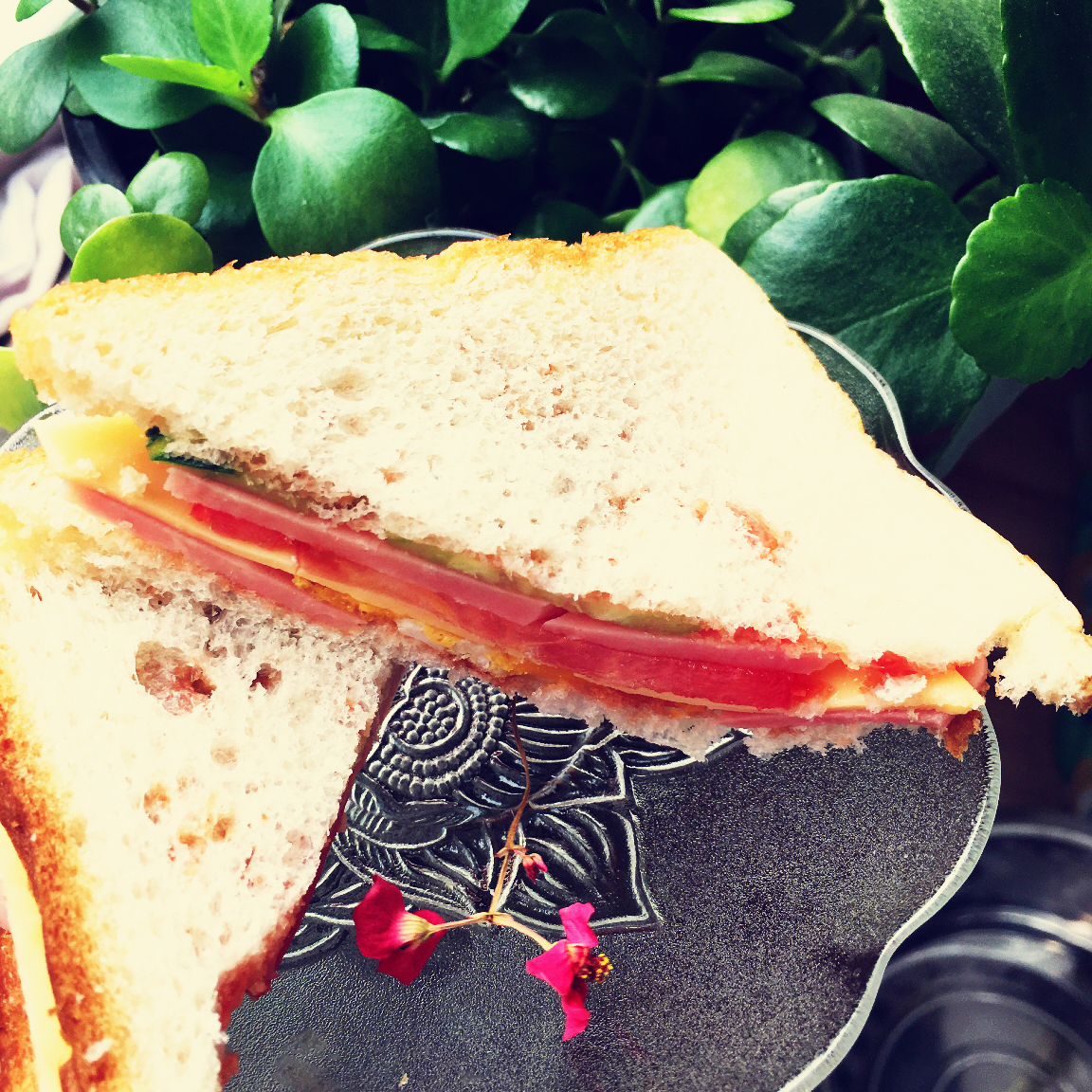 火腿芝士蛋三文治