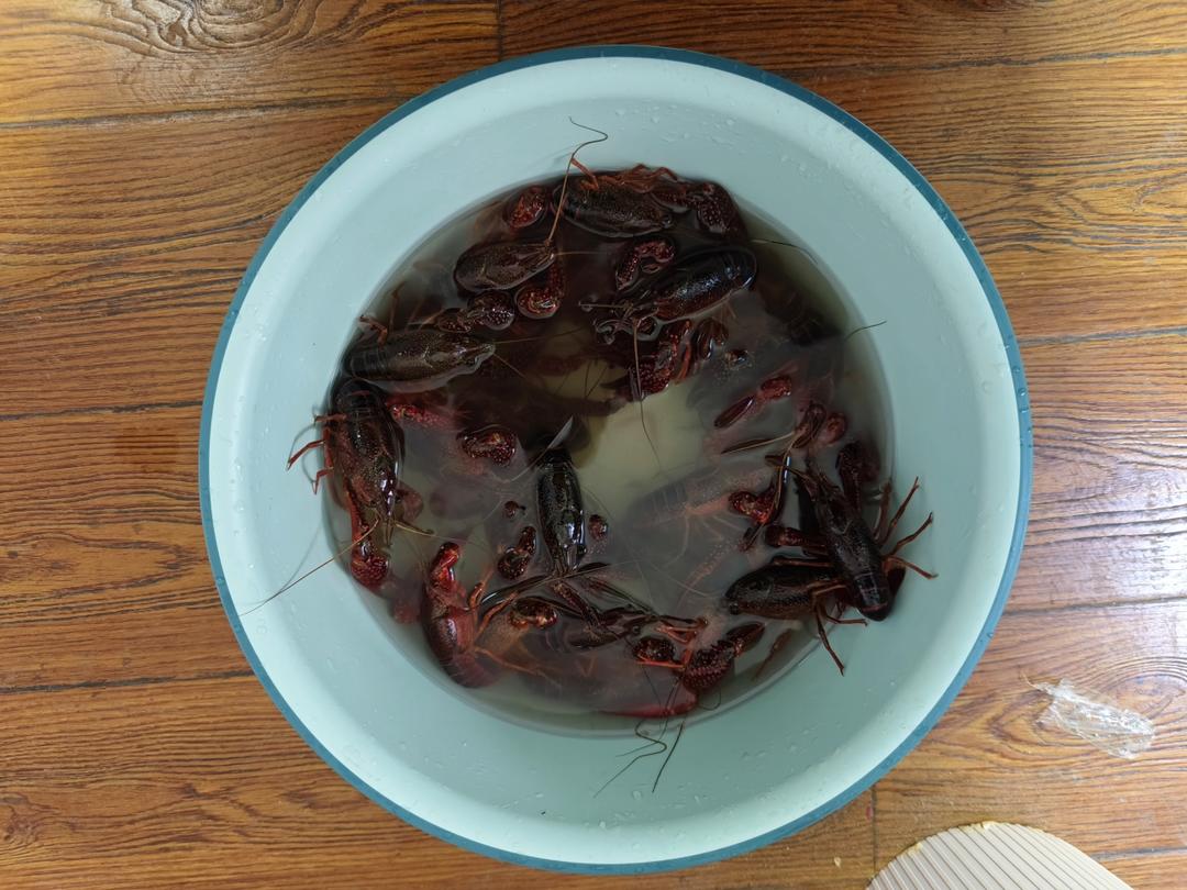 蒜蓉小龙虾
