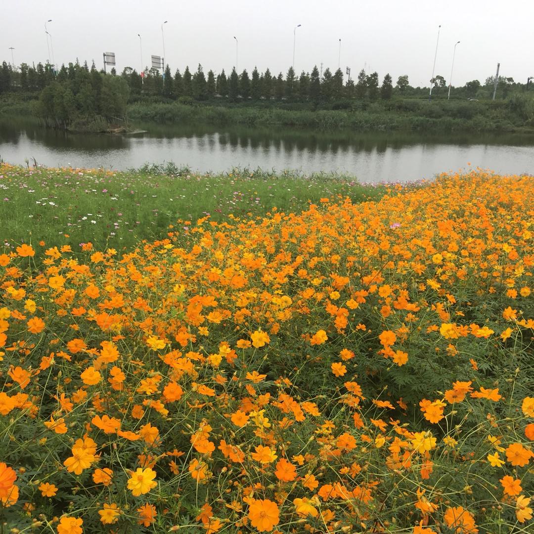 还想更懂你
