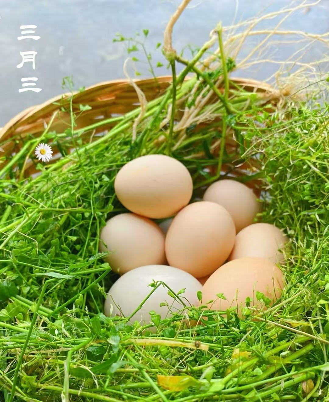 家之味
