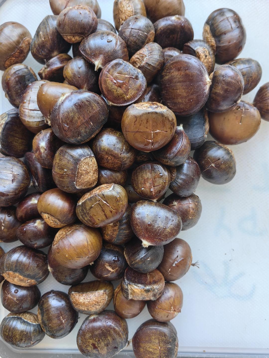 糖炒栗子-面包机炒制，有失败经验总结