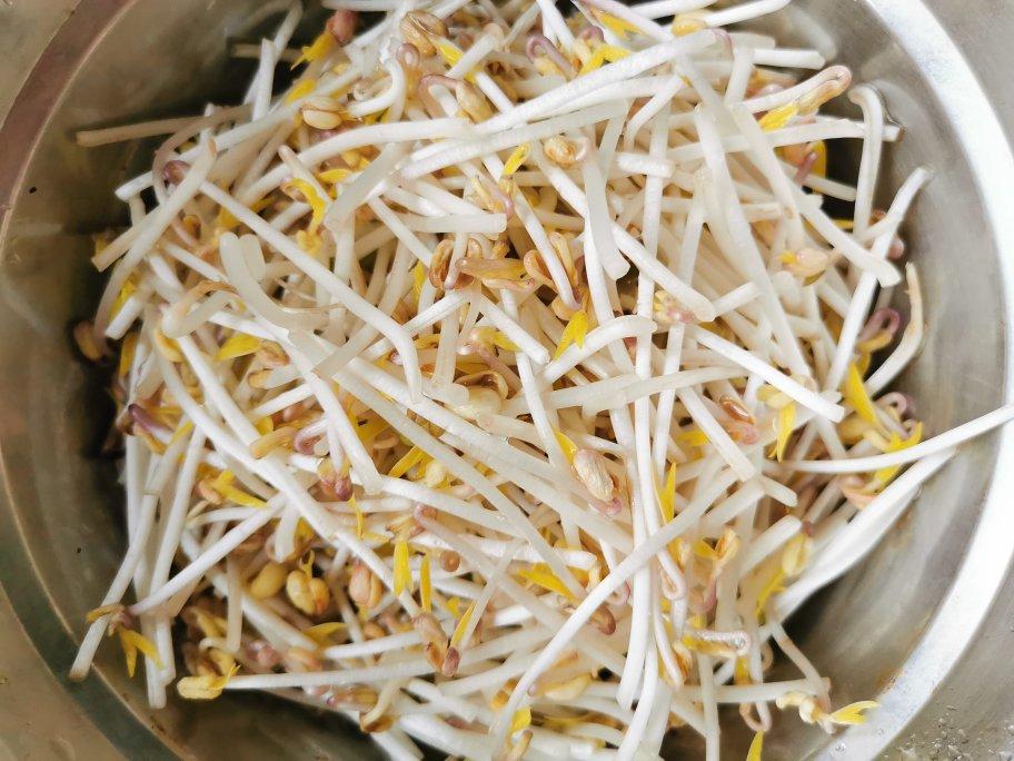 淘米盆发豆芽