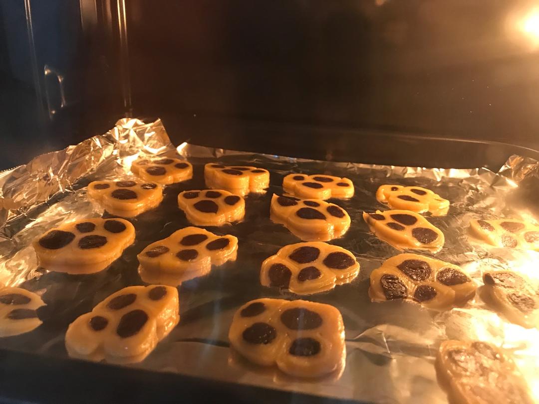 童趣小爪印