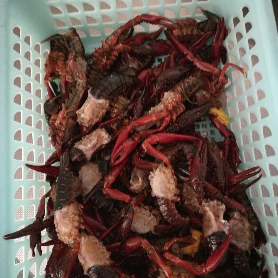 香辣小龙虾-超详细处理干净步骤！
